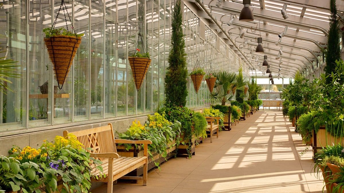 珍贵花卉精细养护场景